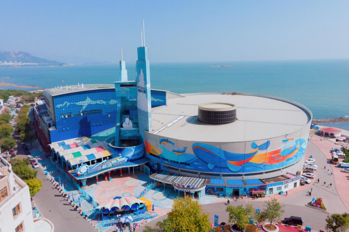 青島極地海洋世界，探索神秘海洋的絕佳之地，青島極地海洋世界，神秘海洋探索之旅的絕佳目的地
