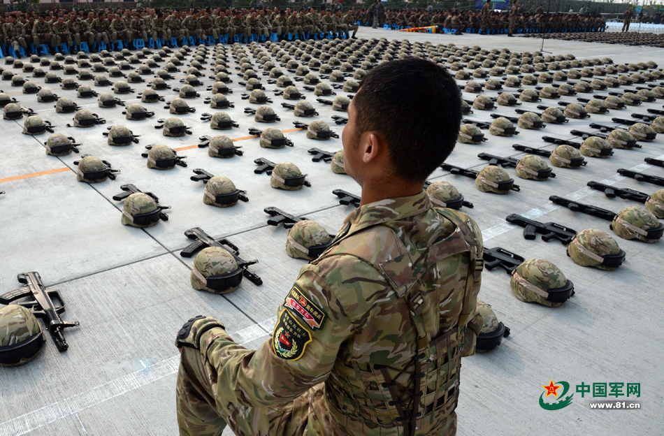 關(guān)于2024年是否為大閱兵還是小閱兵的探討與解析，2024年閱兵式類(lèi)型探討，大閱兵還是小閱兵？解析與探討