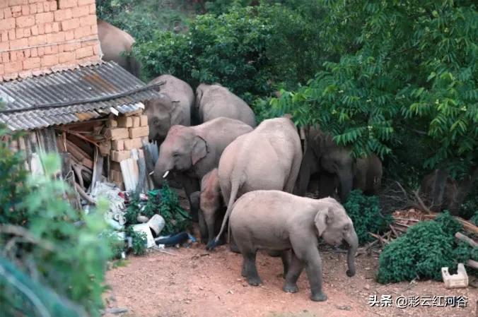 最近一周新聞熱點(diǎn)深度解析，聚焦時(shí)事熱點(diǎn)，洞悉全球動(dòng)態(tài)，全球時(shí)事熱點(diǎn)深度解析，一周新聞回顧與洞察