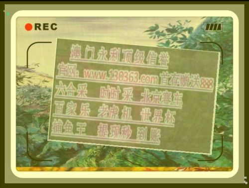 關(guān)于復(fù)式出肖與六肖中四肖的奇妙組合，探索四組四肖的奧秘，復(fù)式出肖與四組四肖的奇妙組合，探索六肖中四肖的奧秘