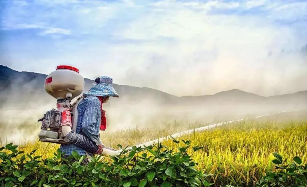 隆平高科股票，投資潛力與市場前景分析，隆平高科股票投資潛力與市場前景深度解析