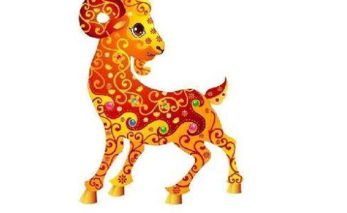 關(guān)于五肖中六個生肖的組數(shù)分析，五肖中六個生肖組數(shù)深度解析