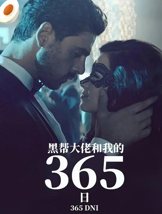 霸道總裁365天第一季免費觀看，深度解析與體驗分享，霸道總裁365天第一季在線觀看與深度解析分享