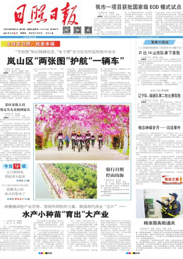 一肖一碼免費公開，揭秘背后的真相與實質(zhì)，揭秘一肖一碼背后的真相與實質(zhì) 免費公開揭秘真相