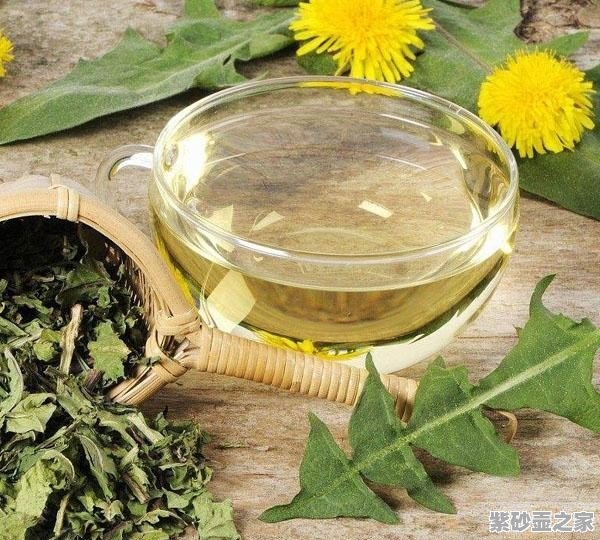 蒲公英茶，揭示其功效與作用的神秘面紗，蒲公英茶，揭開功效與作用的神秘面紗