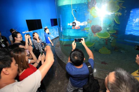 Aug是幾月份的縮寫，深入了解與SEO優(yōu)化策略，Aug月份縮寫詳解與SEO優(yōu)化策略探討