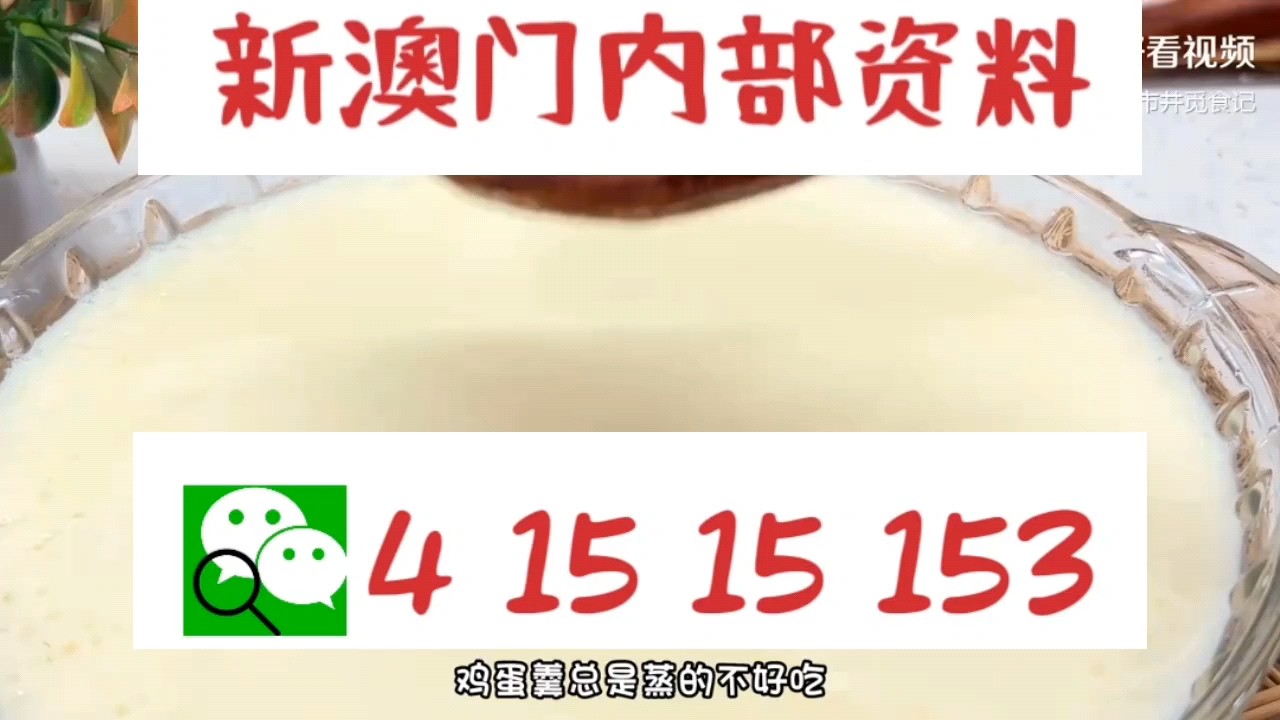 澳門一波中特網(wǎng)站，探索與體驗，澳門中特網(wǎng)站，探索與體驗之旅