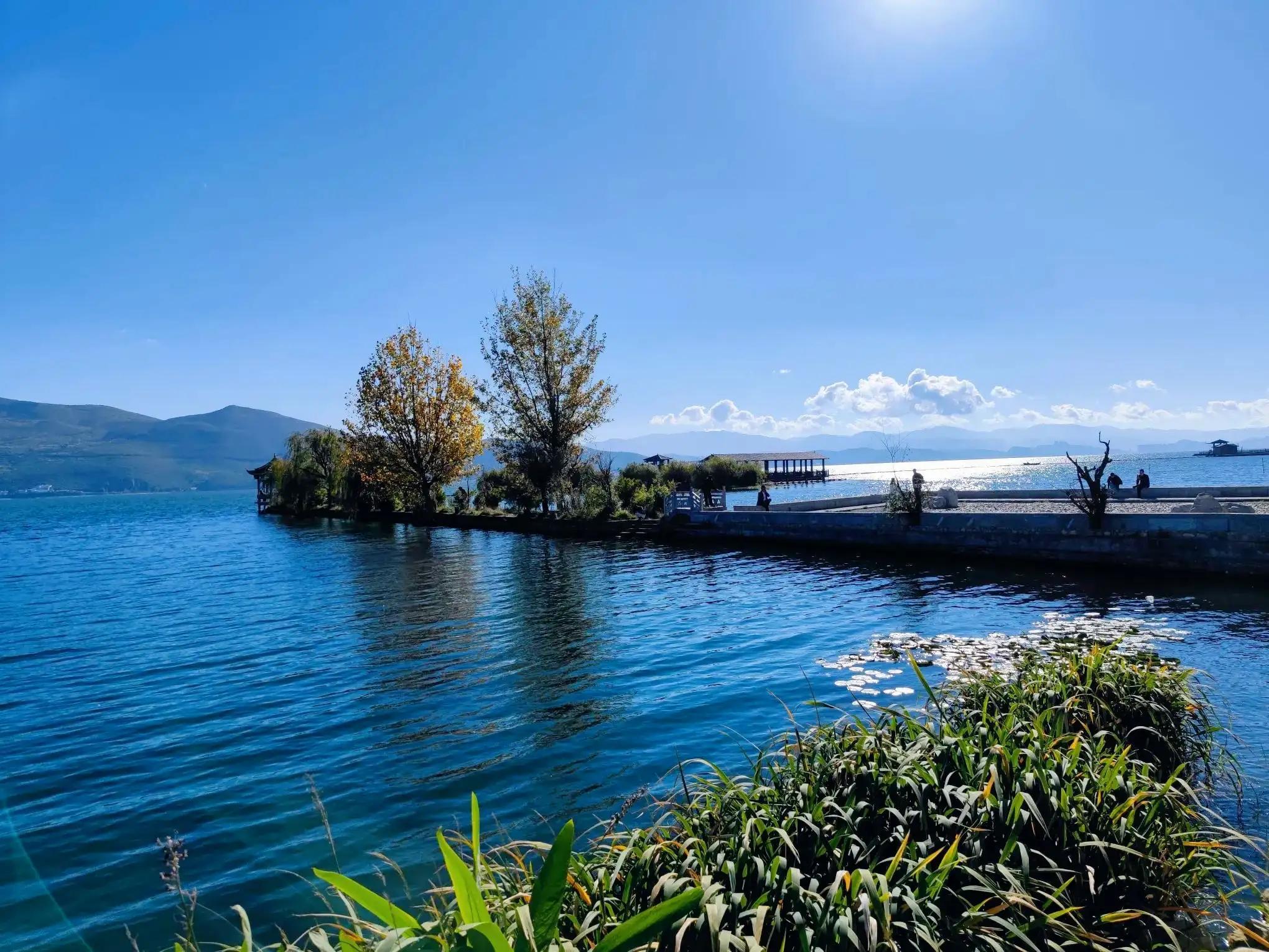 攻擊無人機(jī)，針對(duì)攻擊11無人機(jī)的深度探討，針對(duì)攻擊無人機(jī)，深度探討攻擊無人機(jī)與應(yīng)對(duì)之策