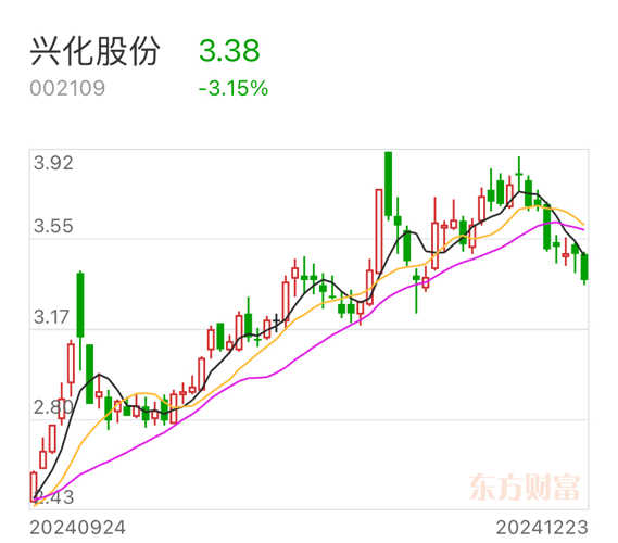 興化股份股吧，深度解析與前景展望，興化股份股吧，深度解析及前景展望