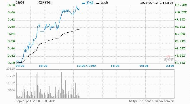 洛陽鉬業(yè)股份股票，深度解析與發(fā)展前景展望，洛陽鉬業(yè)股份股票深度解析與前景展望