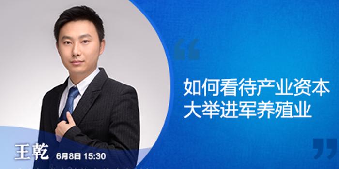 深度解析600255在新浪財經(jīng)的表現(xiàn)與前景展望，深度解析，600255在新浪財經(jīng)的表現(xiàn)及未來前景展望