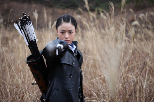 箭在弦上電視劇，深度解析與探討，箭在弦上電視劇，深度剖析與探討