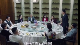 巡回檢察組免費(fèi)觀看全集完整版，深度解析與觀看指南，巡回檢察組全集免費(fèi)觀看及深度解析與觀看指南