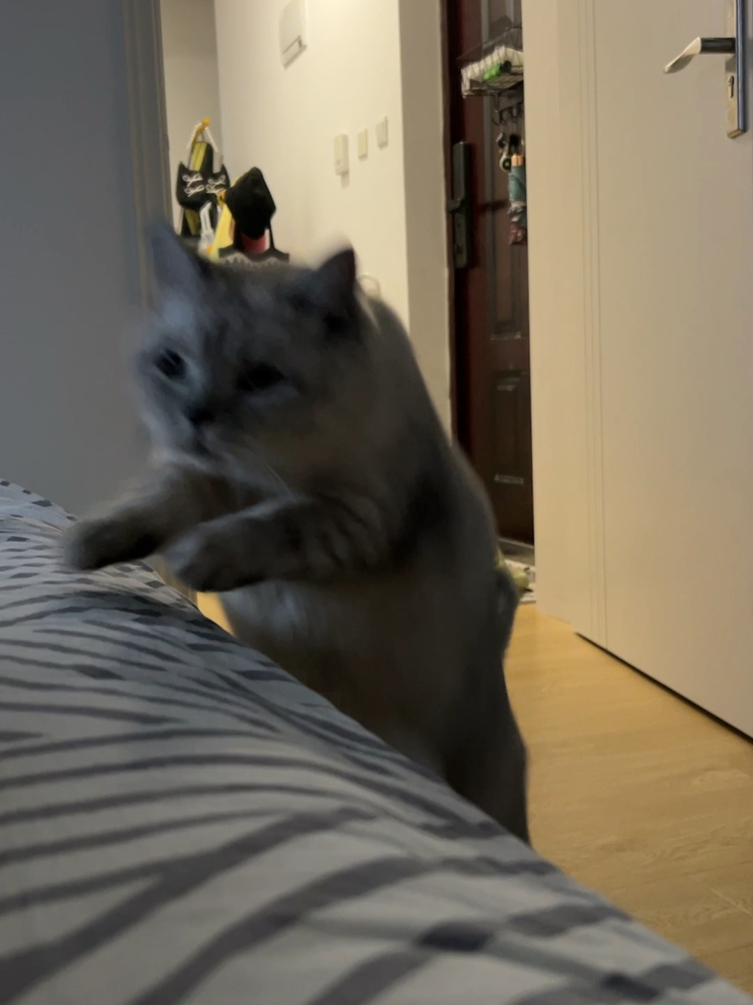 如何有效地叫出來(lái)，深度解析SEO策略與技巧，深度解析SEO策略與技巧，如何有效實(shí)施提升排名的方法