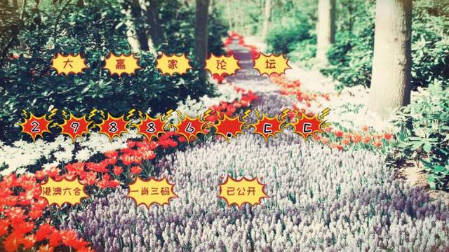 管家一肖一碼，揭秘精準免費的資料世界，揭秘管家一肖一碼，精準免費資料世界的秘密