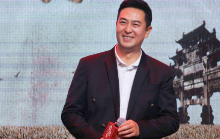 張嘉譯電視劇大全，深度解析與推薦，張嘉譯電視劇大全集，深度解讀與推薦榜單