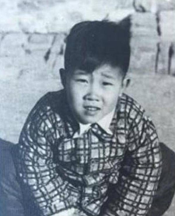 大宅門演員名單及其角色深度解析，大宅門演員陣容及角色深度解析