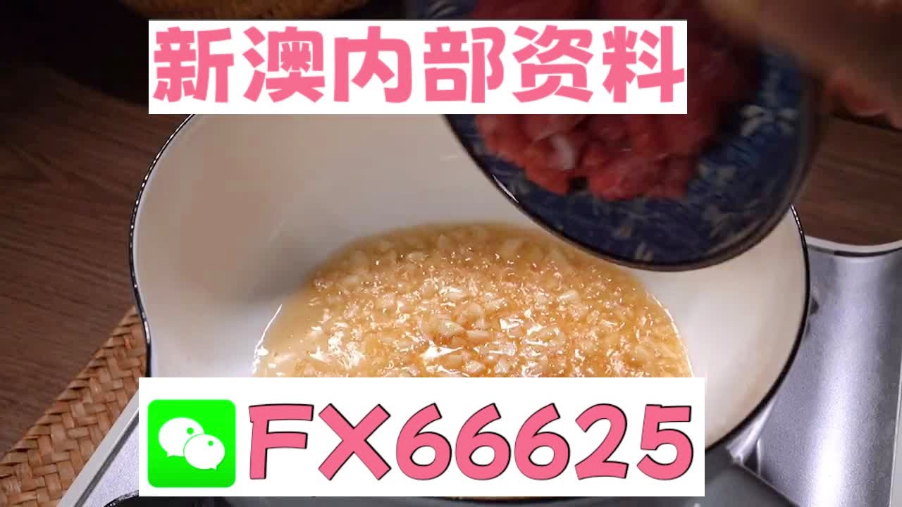 新澳門30碼中特，探索與解析，新澳門30碼中特，深度探索與解析