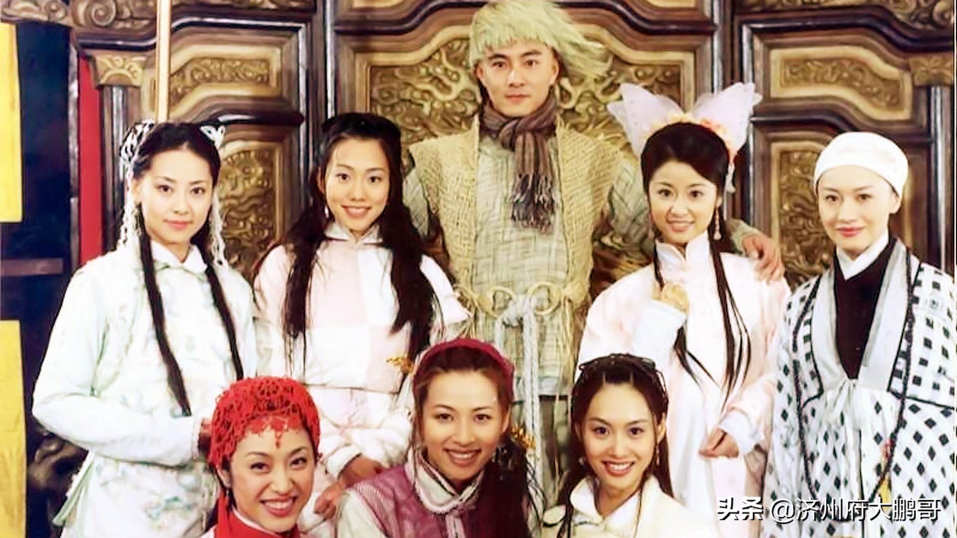 張衛(wèi)健版鹿鼎記演員表及其角色深度解析，張衛(wèi)健版鹿鼎記演員陣容及角色深度解析