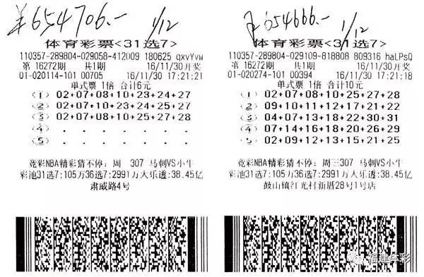 揭秘彩票秘密，肖一碼的魅力與期期準的技巧，揭秘彩票秘密，肖一碼的魅力與期期準技巧解析