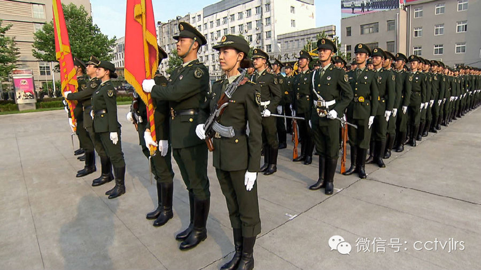 儀仗女兵程誠，堅(jiān)韌與榮耀的展現(xiàn)，儀仗女兵程誠，堅(jiān)韌精神與榮耀的閃耀