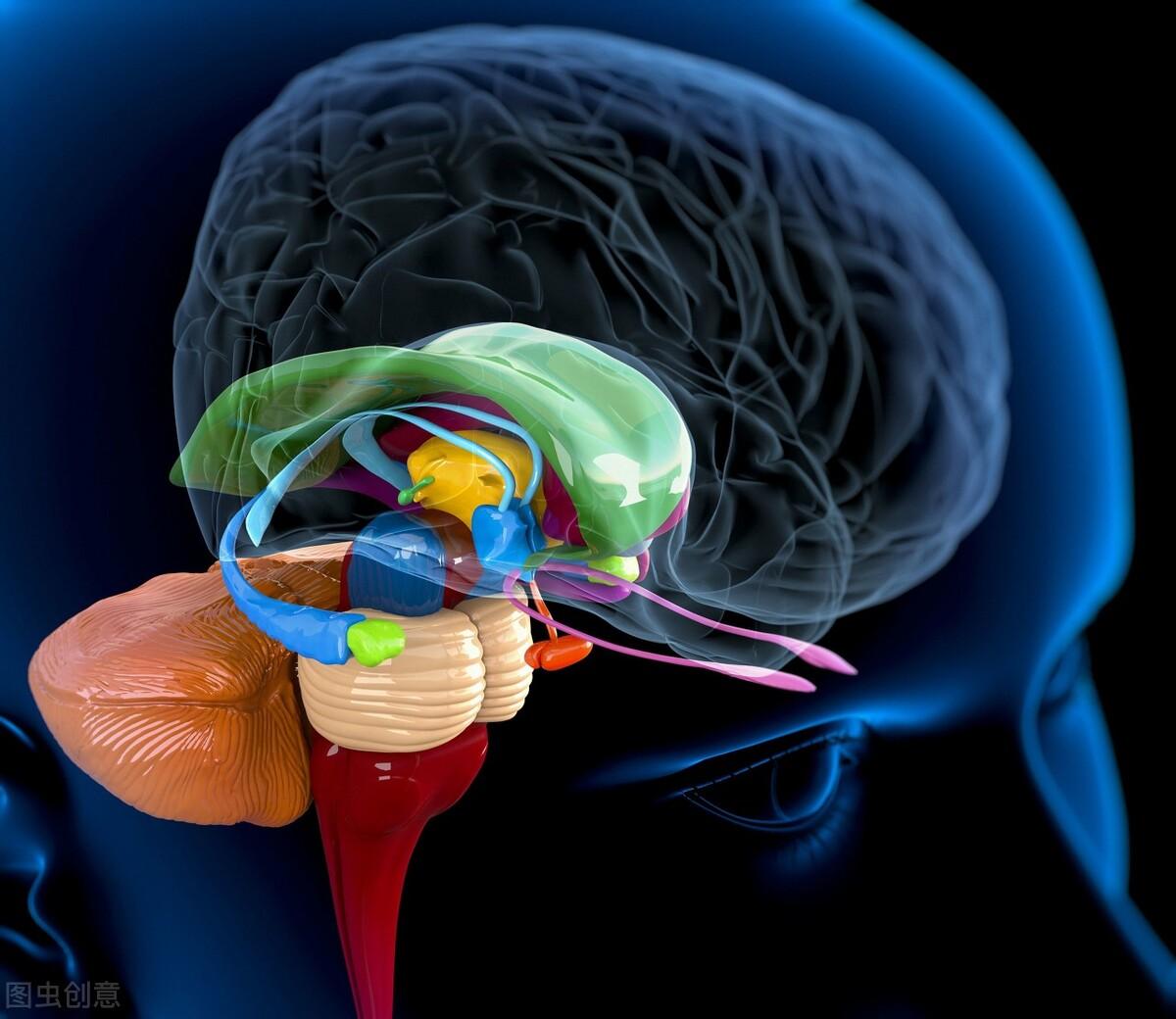 青春期乳房一抓捏里面有硬塊，了解、關注與應對，青春期乳房硬塊解析，了解、關注與應對措施