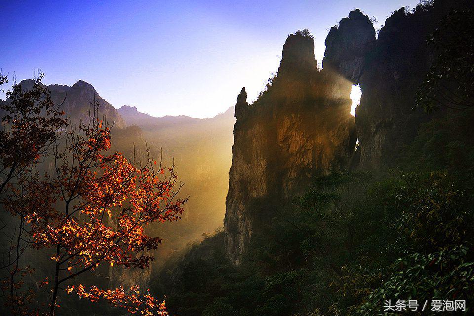 溫州美麗之旅探索