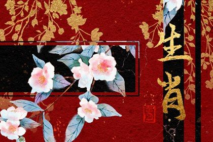 亡肖圖，揭秘背后的神秘面紗，揭秘亡肖圖的神秘面紗