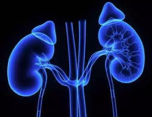 過敏性紫癜，深入了解與治療策略，過敏性紫癜，全面解析與治療方案