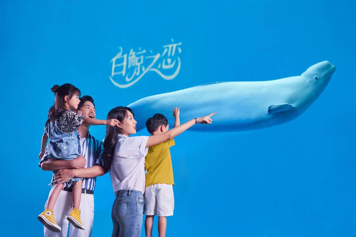 上海海昌海洋公園門票價(jià)格詳解，上海海昌海洋公園門票價(jià)格全面解析