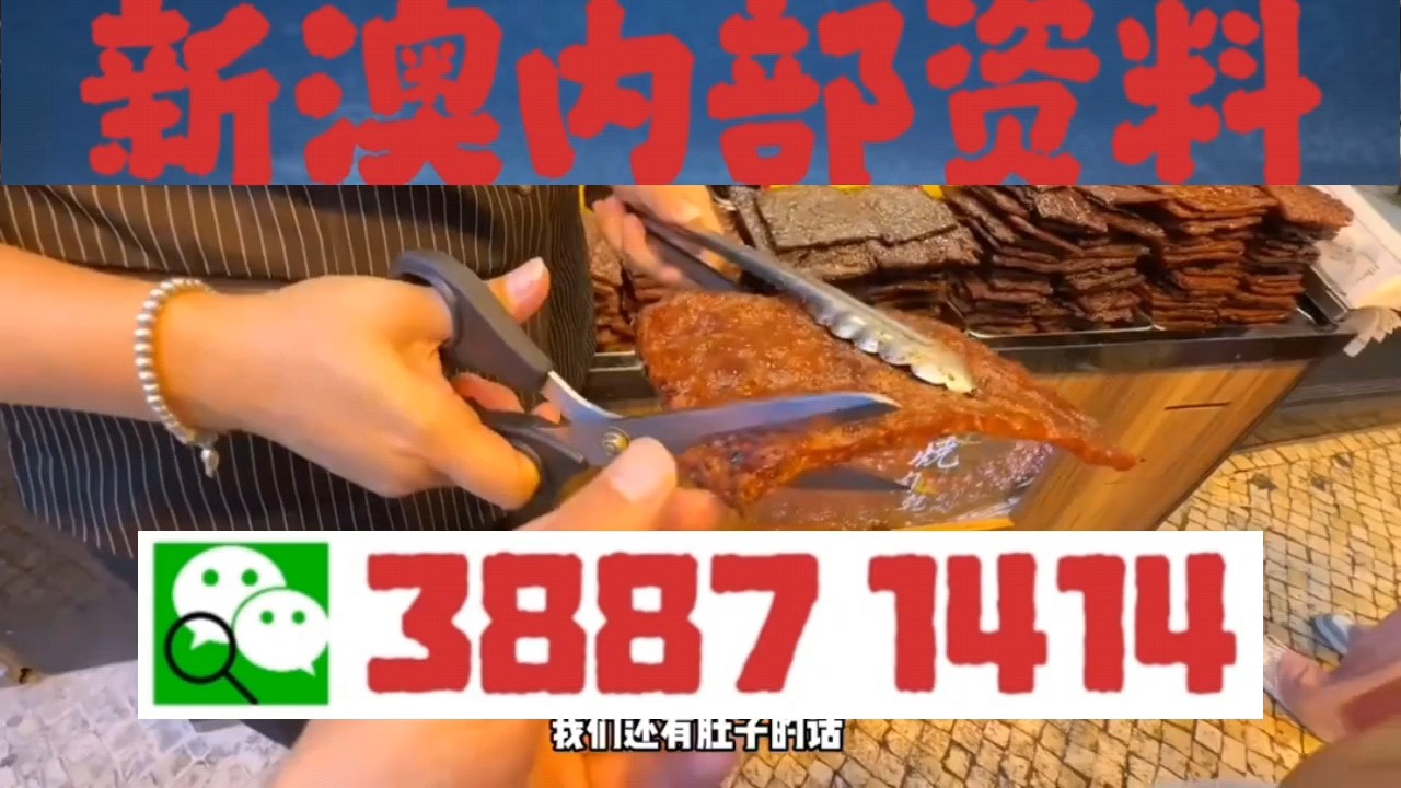 新澳門(mén)精準(zhǔn)5碼中特，探索與解析，新澳門(mén)精準(zhǔn)5碼中特，深度探索與解析