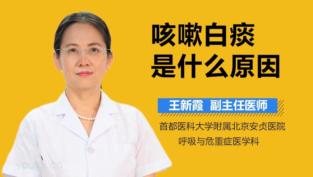 咳嗽有白痰一直不好是什么原因，深度解析與應(yīng)對策略，咳嗽有白痰持續(xù)不愈的原因解析及應(yīng)對之策