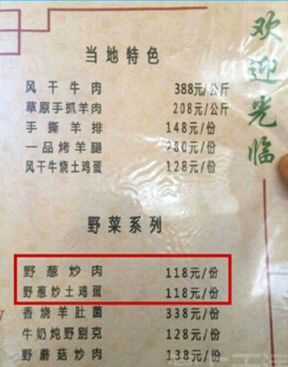 王中王118期平特一肖，揭秘彩票背后的秘密與策略，揭秘彩票背后的秘密與策略，王中王118期平特一肖分析