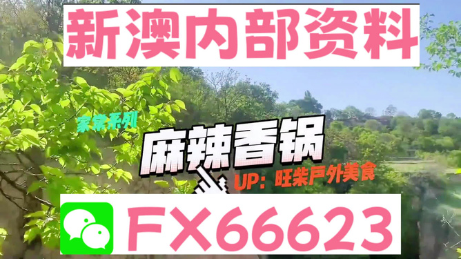 新澳精準(zhǔn)資料免費(fèi)提供，探索與實(shí)踐的指南，新澳精準(zhǔn)資料免費(fèi)分享，探索與實(shí)踐的導(dǎo)航指南