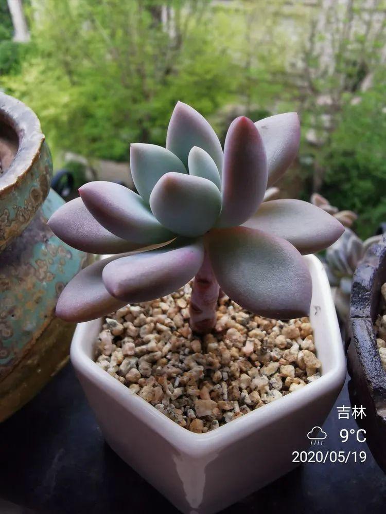 整容成功率有多高，全面解析與深度探討，整容成功率深度解析與探討，全面揭示成功率及影響因素