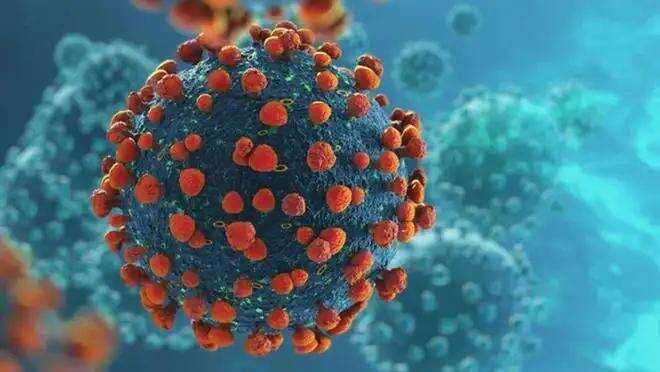 三種人群不易感染冠狀病毒，揭示背后的原因與策略，三種人群對冠狀病毒的抵抗力揭秘，原因與應(yīng)對策略