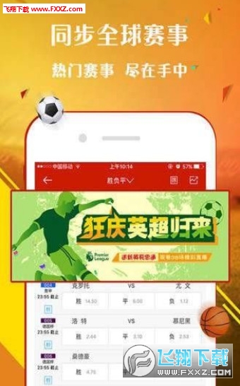 王中王一肖，探尋背后的故事與魅力，王中王一肖，背后的故事與獨(dú)特魅力探尋