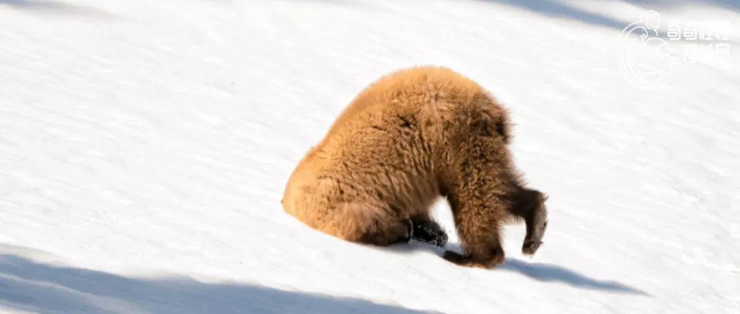 新澳門2025年開奘記錄——探索未來的繁榮與發(fā)展，新澳門2025年開啟新篇章，繁榮與發(fā)展探索之旅