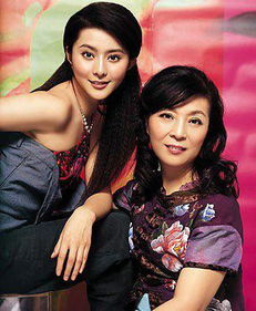 范冰冰與范丞丞的真實關(guān)系，揭秘背后的故事，范冰冰與范丞丞關(guān)系揭秘，探究背后的真實故事