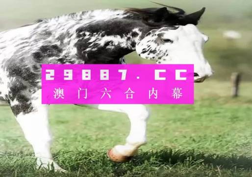 王中王三肖一碼資料，深度解析與SEO優(yōu)化，王中王三肖一碼資料深度解析與SEO優(yōu)化技巧