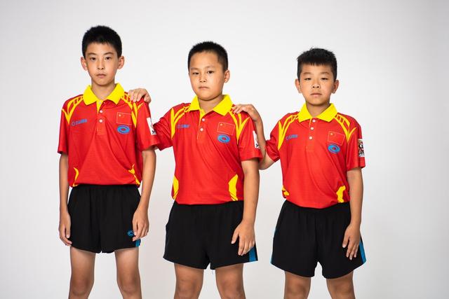 王中王白小姐四肖選一，揭秘背后的秘密與策略，揭秘王中王白小姐四肖選一背后的秘密與策略之道