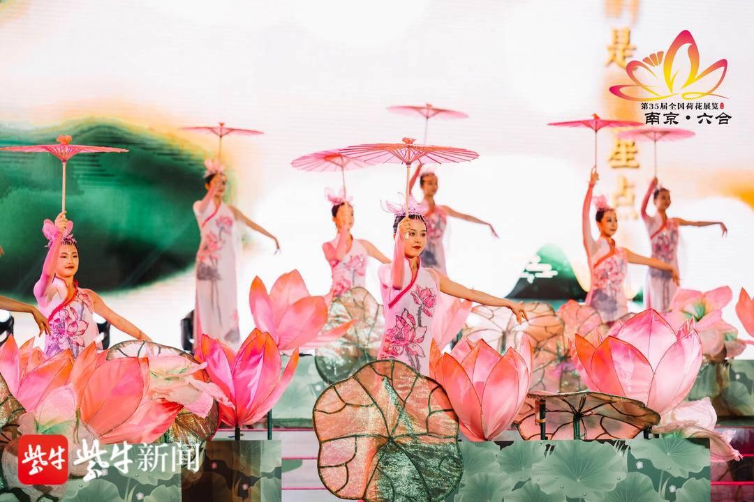 澳門最最快開獎六開，探索彩票開獎的奧秘與策略，澳門彩票開獎奧秘與策略探索，六開速覽