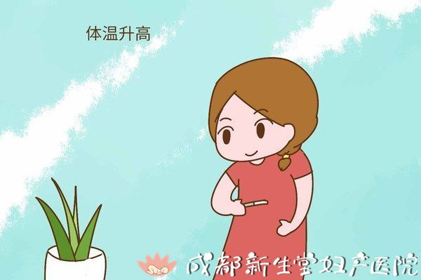 剛懷上幾天有什么感覺——懷孕初期的微妙變化，懷孕初期的微妙變化與初感體驗