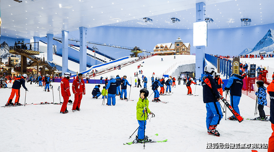 深度解析背后的原因