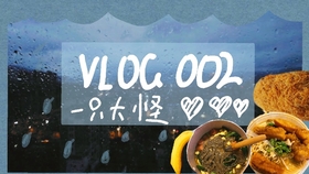 王中王009期指一生肖