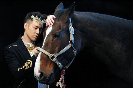 王中王一馬中特肖大公開亮點，揭秘背后的秘密與獨特之處，揭秘王中王獨特之處與肖大公開亮點，一探背后秘密