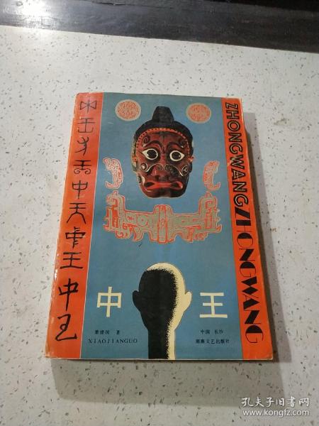 王中王資料一門肖中，深度解析與探索，王中王資料一門肖詳解，深度解析與探索