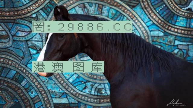 澳門4949開獎結(jié)果最快四不像解析，澳門4949開獎結(jié)果解析與四不像探討