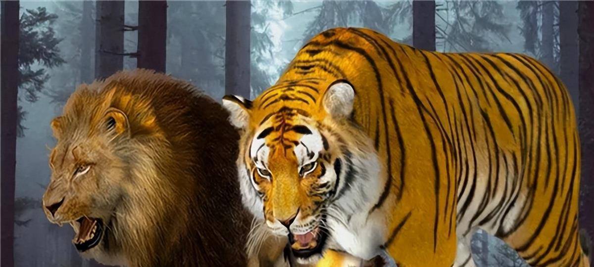 藍天白云 第6頁