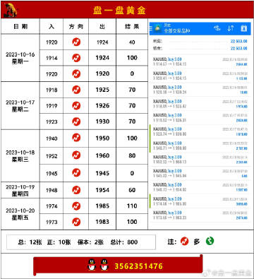 澳門正版今晚現(xiàn)場直播，探索精彩瞬間的無限可能，澳門正版今晚現(xiàn)場直播，探索精彩瞬間的無限魅力